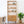 Kyoto Bücherregal