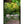 Manzano Outdoor Essstuhl – 4er-Set Taupe
