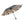 Daisy Umbrella – LSF50+