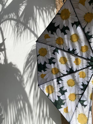 Daisy Umbrella – LSF50+