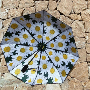 Daisy Umbrella – LSF50+