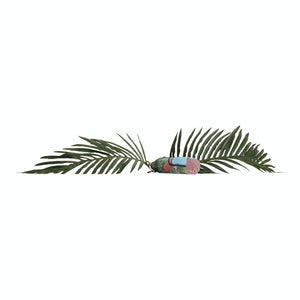 Paradise Umbrella – UV-Schutz 50+