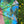 Paradise Umbrella – UV-Schutz 50+